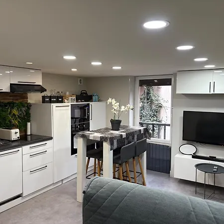 Apartamento Le Cocon De Notre Dame Annecy