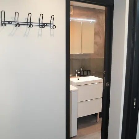 公寓 Le Cocon De Notre Dame 阿讷西