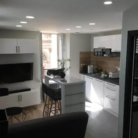 Le Cocon De Notre Dame Apartment Annecy