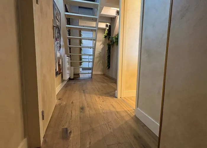 Le Cocon De Notre Dame Apartmán