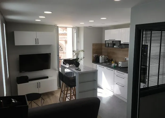 Le Cocon De Notre Dame Apartmán Annecy